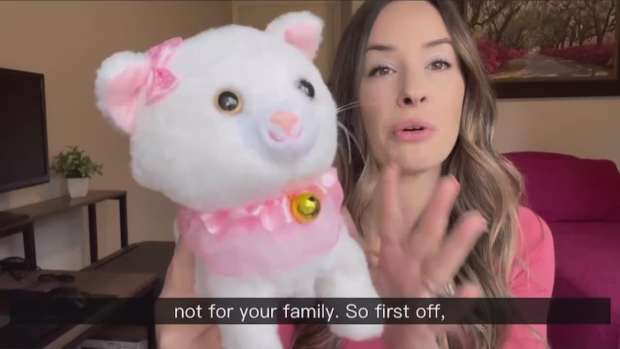 Interactive Electronic Plush Toy, Walking and Barking Robot Colorful Cat Plush, Remote Control Kitten Pets, Best Gifts for Girls